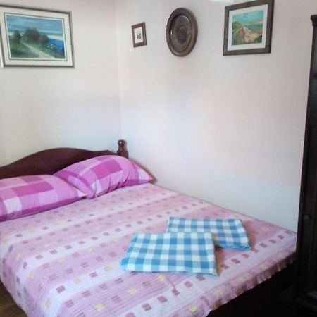 Apartment "Mislav" Gornji Karin Kültér fotó
